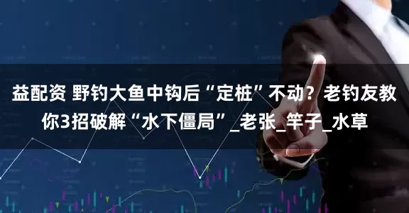 益配资 野钓大鱼中钩后“定桩”不动？老钓友教你3招破解“水下僵局”_老张_竿子_水草